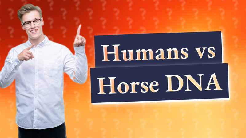 Humans vs Horse DNA