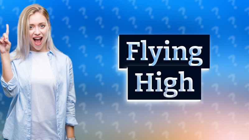 Flying High