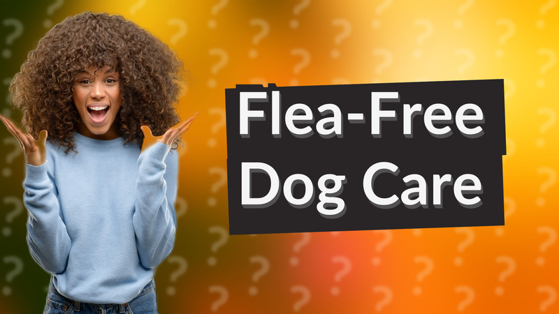 Flea-Free Dog Care