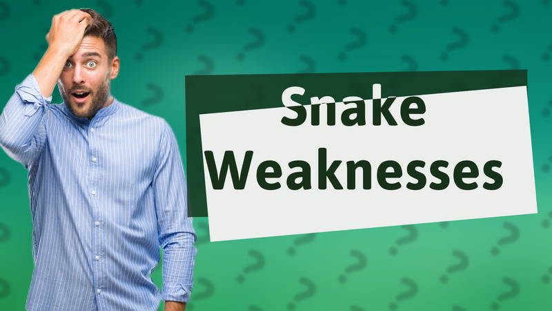 Snake Weaknesses