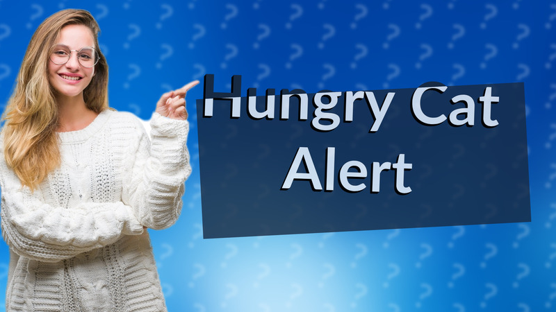 Hungry Cat Alert