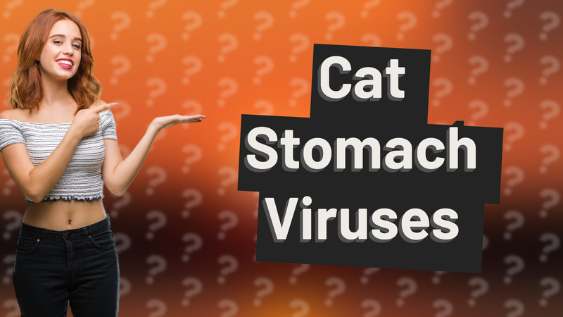 Cat Stomach Viruses