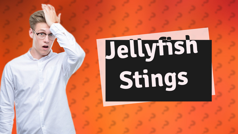 Jellyfish Stings