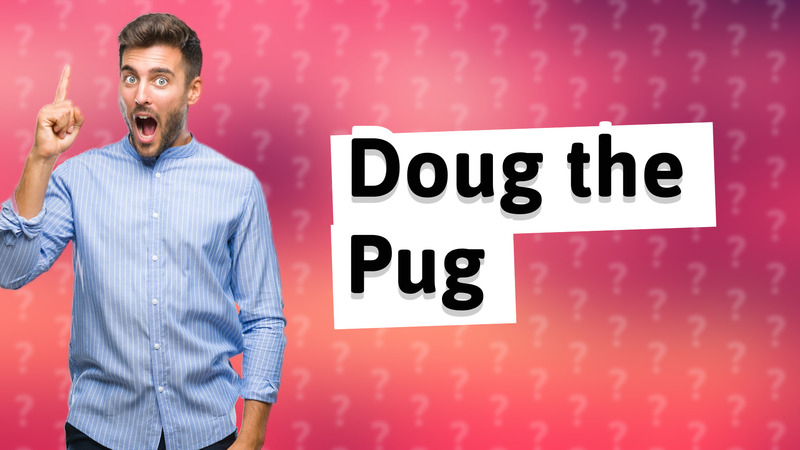 Doug the Pug