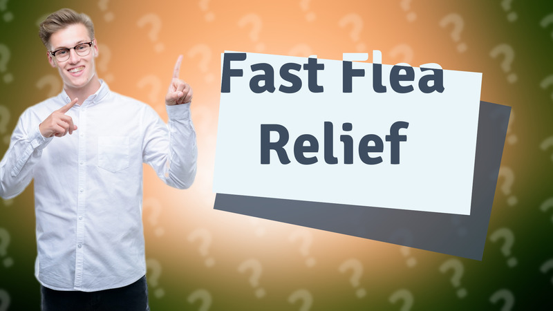 Fast Flea Relief