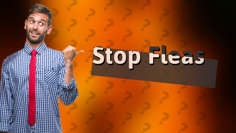 Stop Fleas