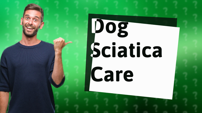 Dog Sciatica Care