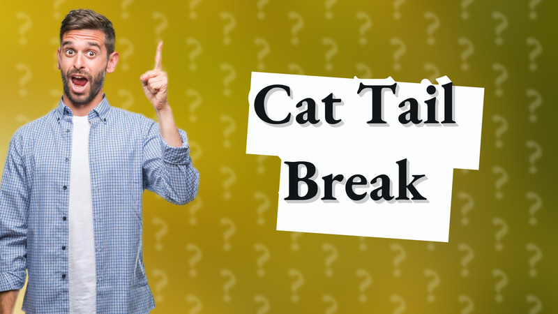 Cat Tail Break