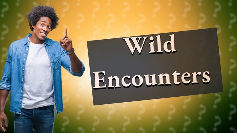 Wild Encounters