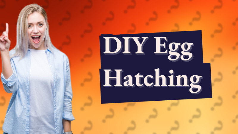 DIY Egg Hatching