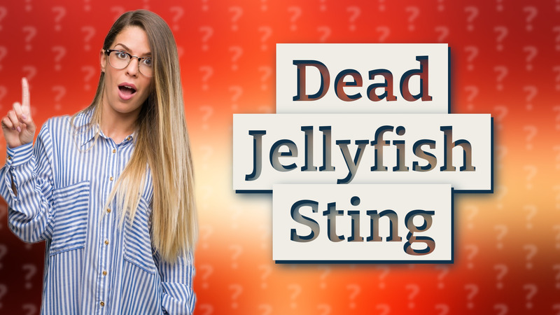 Dead Jellyfish Sting