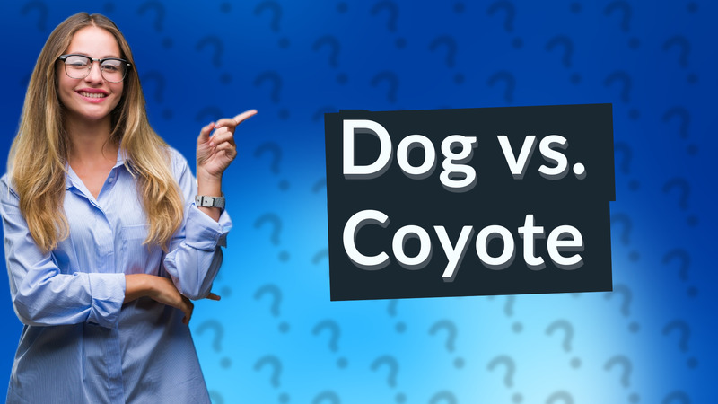 Dog vs. Coyote