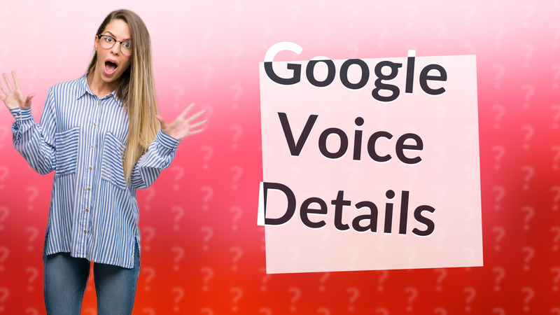 Google Voice Details