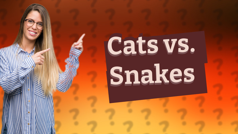 Cats vs. Snakes