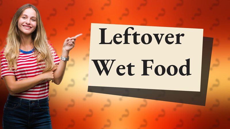 Leftover Wet Food