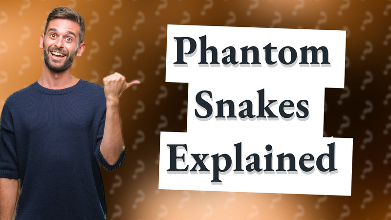 Phantom Snakes Explained