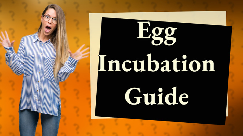 Egg Incubation Guide