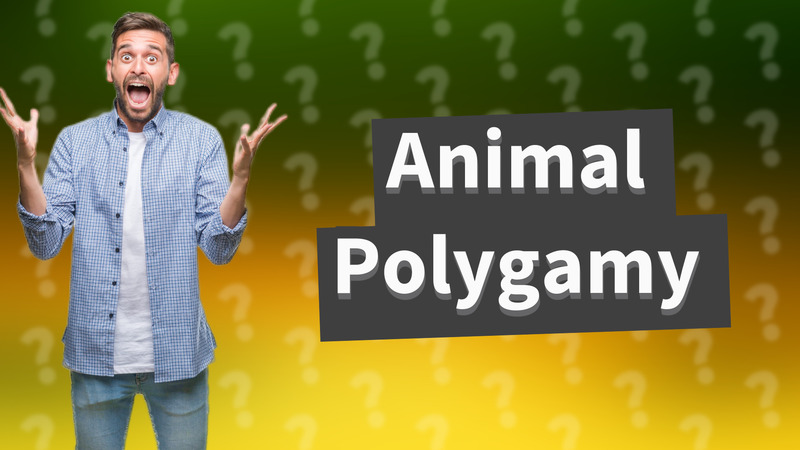 Animal Polygamy
