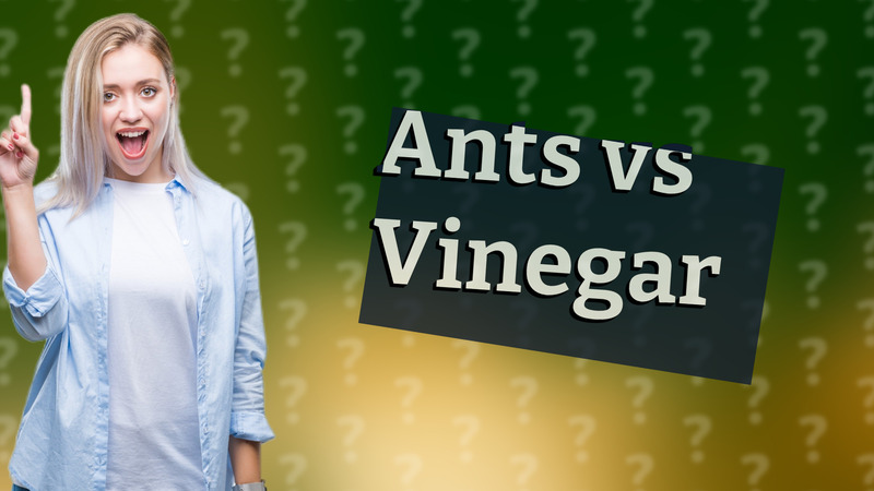 Ants vs Vinegar