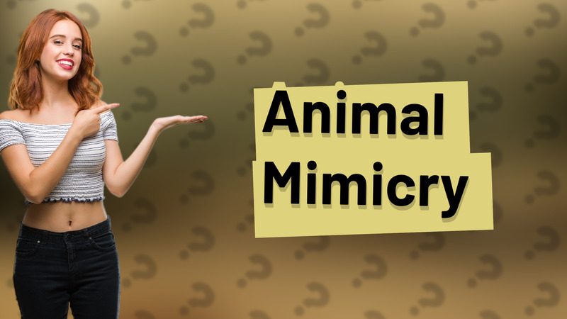 Animal Mimicry