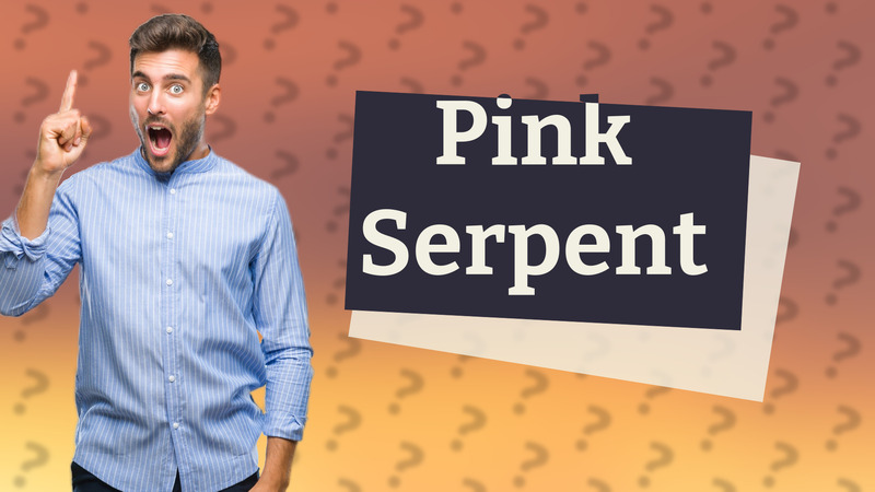 Pink Serpent