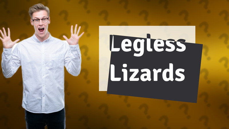 Legless Lizards