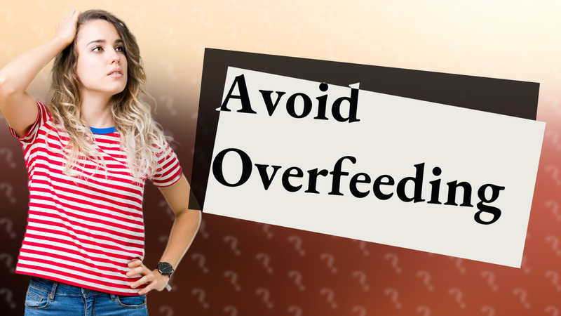 Avoid Overfeeding