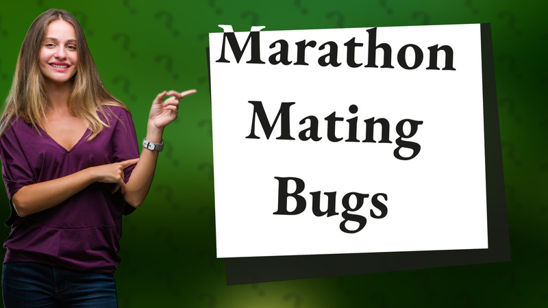 Marathon Mating Bugs