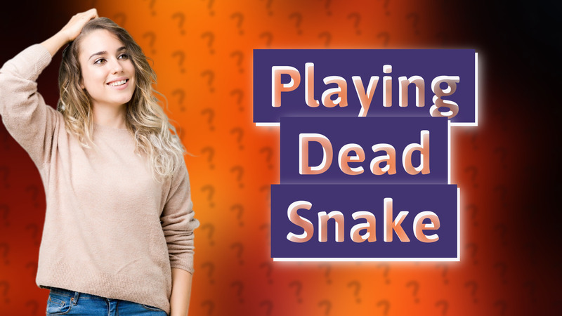 Playing Dead Snake