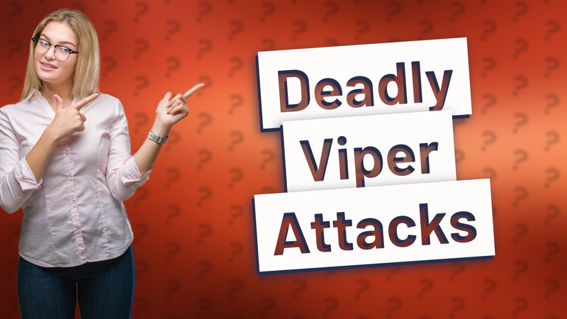 Deadly Viper Attacks