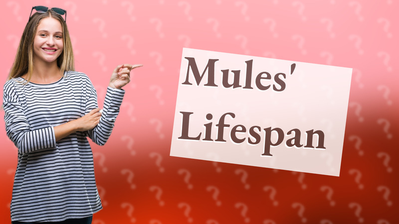 Mules' Lifespan