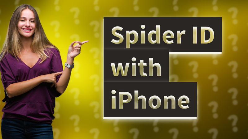 Spider ID with iPhone