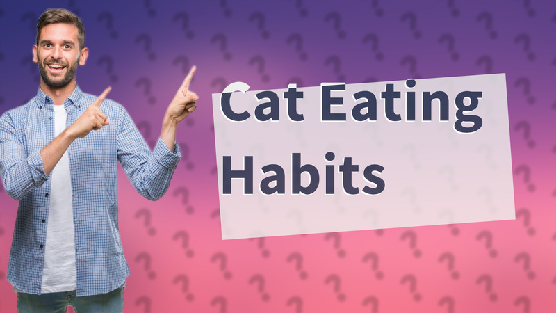Cat Eating Habits