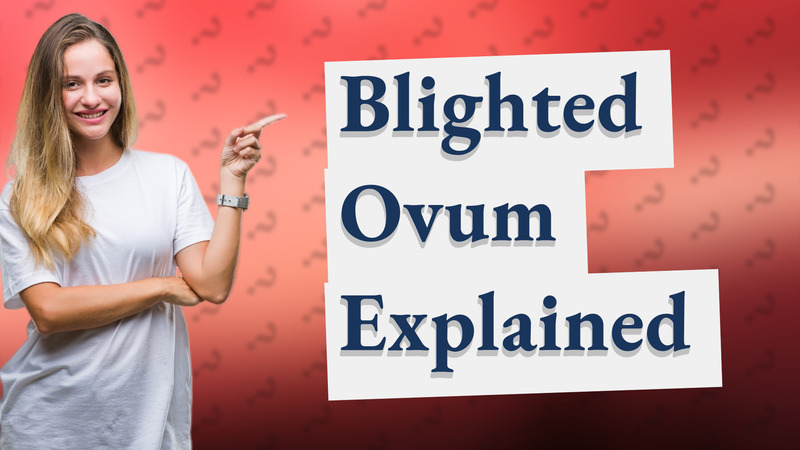 Blighted Ovum Explained
