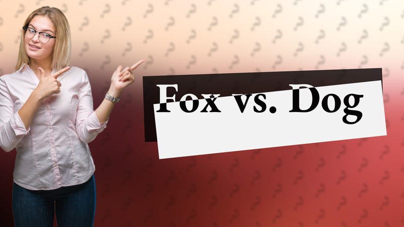 Fox vs. Dog
