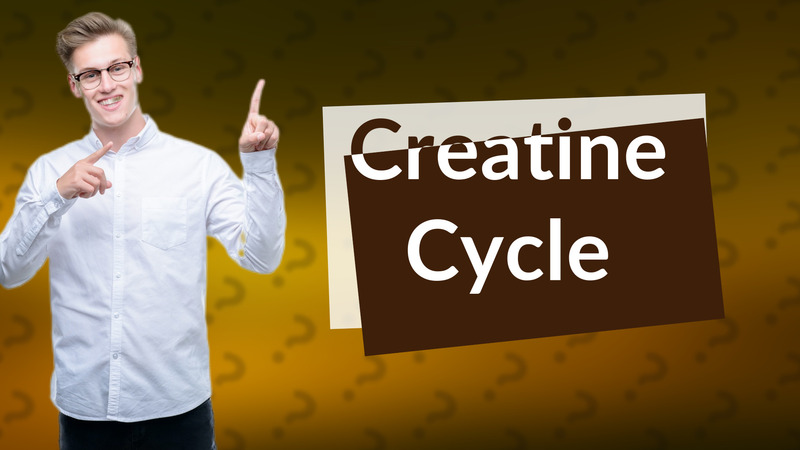 Creatine Cycle