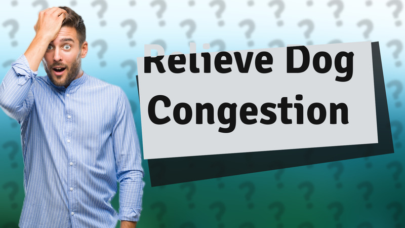 Relieve Dog Congestion