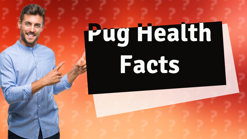 Pug Health Facts