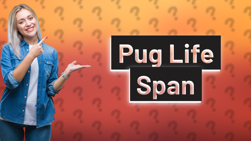 Pug Life Span