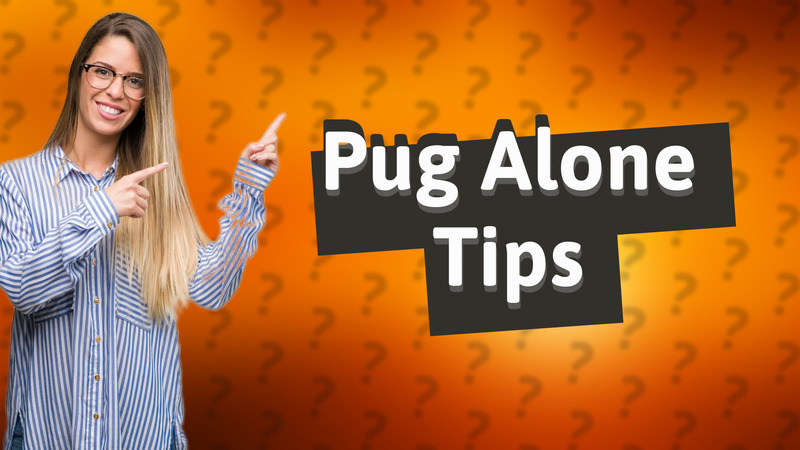 Pug Alone Tips