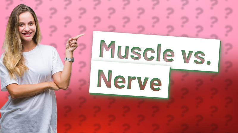 Muscle vs. Nerve