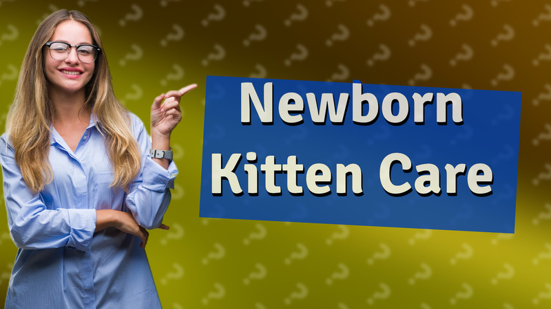 Newborn Kitten Care