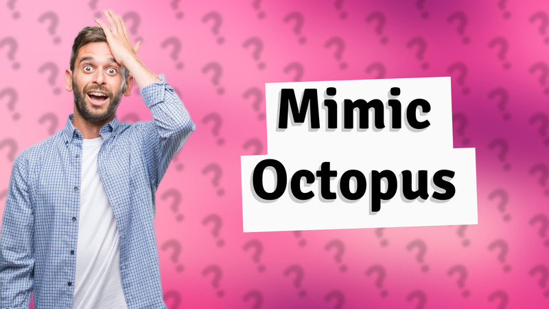 Mimic Octopus