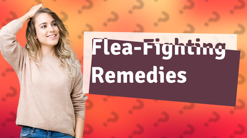Flea-Fighting Remedies
