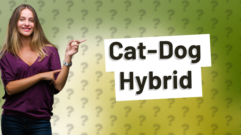 Cat-Dog Hybrid