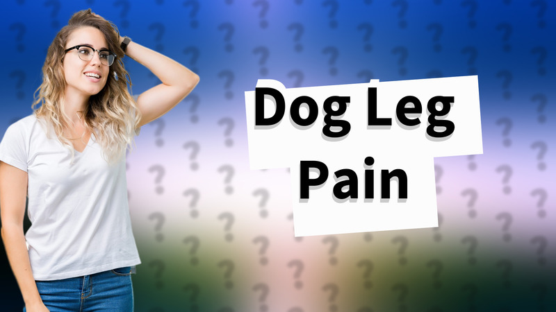Dog Leg Pain