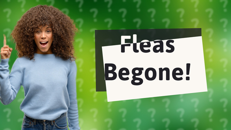 Fleas Begone!