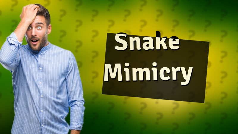 Snake Mimicry
