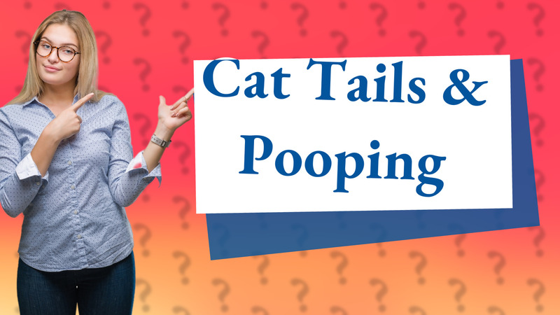 Cat Tails & Pooping