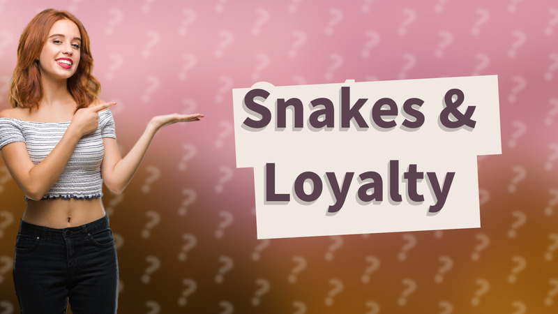 Snakes & Loyalty